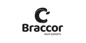 Logo Parceiro AO4 Braccor