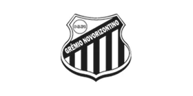 Logo Parceiro AO4 Novo Horizonte